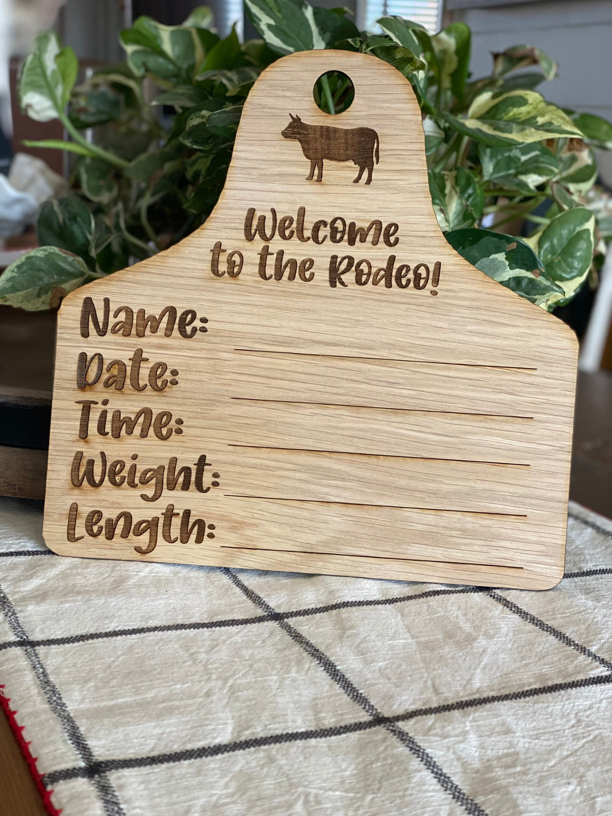 Baby props, baby milestone markers, welcome baby, baby shower gift, welcome to the rodeo, welcome to the herd, cowboy, gift ideas
